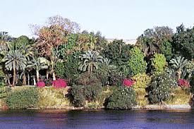 Egipto Asuán La Isla Botánica La Isla Botánica Asuán - Asuán - Egipto