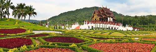 Tailandia Chiang Mai  Royal Flora Ratchaphruek Royal Flora Ratchaphruek Chiang Mai - Chiang Mai  - Tailandia