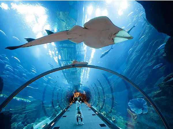 Thailand Pattaya Underwater World Underwater World Pattaya - Pattaya - Thailand