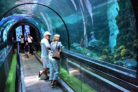 Hotels near phuket aquarium  Phuket