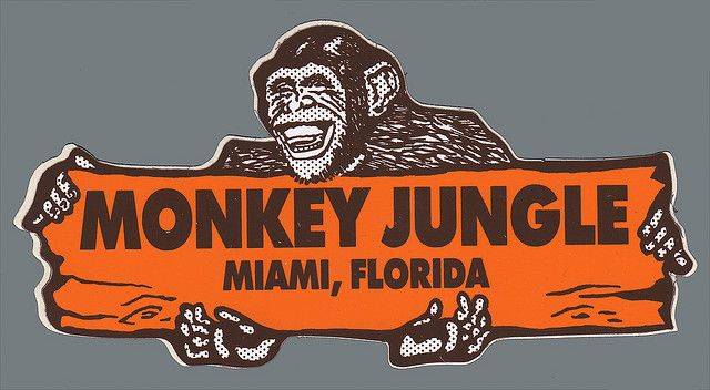 United States of America Miami  Monkey Jungle Monkey Jungle Miami-dade County - Miami  - United States of America