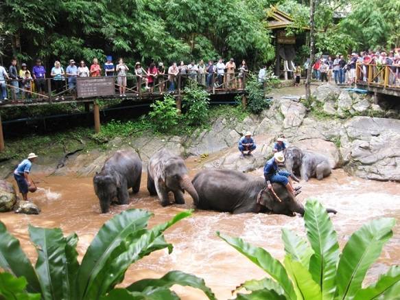 Tailandia Pattaya  Aldea El Elefante Aldea El Elefante Pattaya - Pattaya  - Tailandia