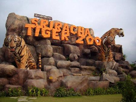 Zoo del Tigre