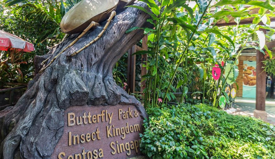 Singapur Isla Sentosa Parque de Mariposas y Reino de Insectos Parque de Mariposas y Reino de Insectos Singapore - Isla Sentosa - Singapur