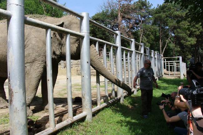 Georgia Tbilisi  Zoológico de Tbilisi Zoológico de Tbilisi Tbilisi - Tbilisi  - Georgia