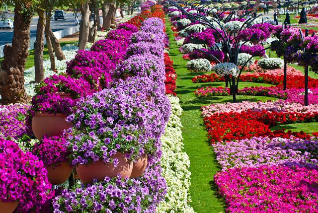 United Arab Emirates Abu Dhabi Al Ain Paradise Garden Al Ain Paradise Garden Abu Dhabi - Abu Dhabi - United Arab Emirates