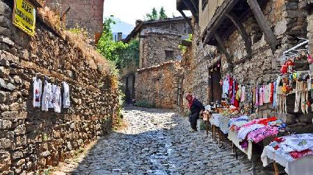 Bursa