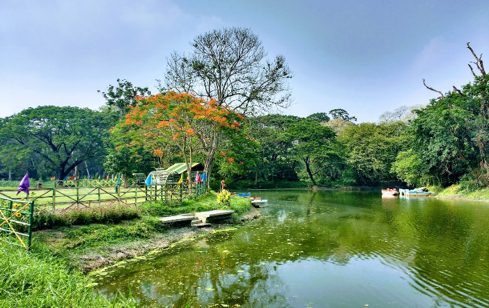 India Calcuta Jardín Botánico Jardín Botánico Bangla - Calcuta - India