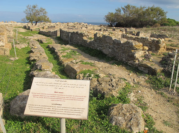 Tunez Nabeul Sitio arqueológico de Caravana Sitio arqueológico de Caravana Tunez - Nabeul - Tunez