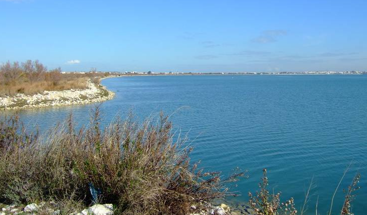 Tunisia Tunis  Lac de Tunis Lac de Tunis Tunisia - Tunis  - Tunisia