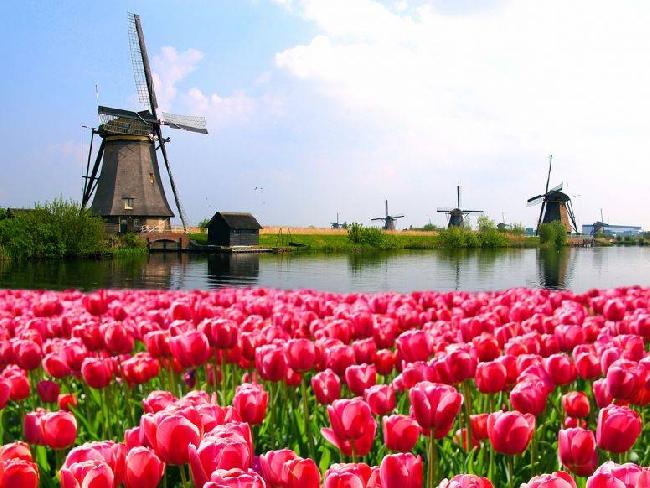   Holanda Holanda Holanda -  - 