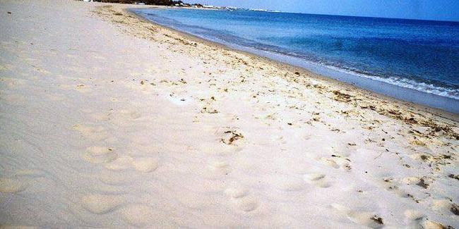Tunez Nabeul Playa Sidi Salman Playa Sidi Salman Nabeul - Nabeul - Tunez