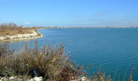 Lac de Tunis
