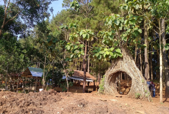 Indonesia Yogyakarta  Hutan Pinus Pengger Hutan Pinus Pengger Yogyakarta - Yogyakarta  - Indonesia