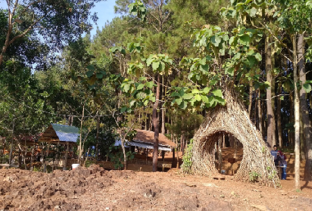 Hoteles cerca de Hutan Pinus Pengger  Yogyakarta