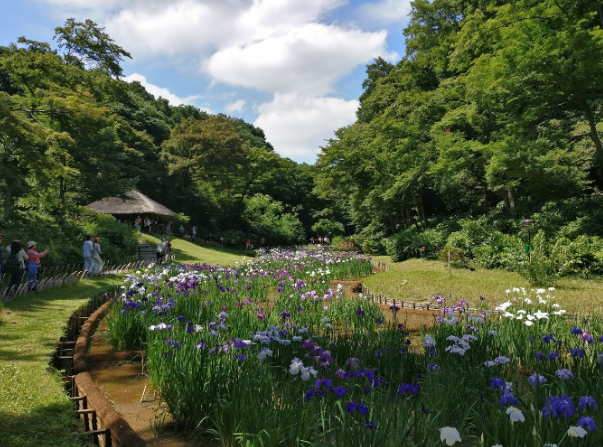 Japón Tokio Jardín del Santuario Meiji Jardín del Santuario Meiji Tokio - Tokio - Japón