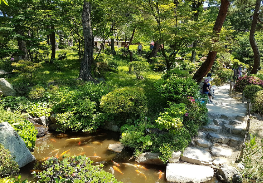 Japón Hiroshima  Jardín Sukkei-en Jardín Sukkei-en Japón - Hiroshima  - Japón