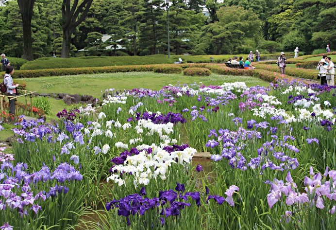 Japón Tokio Jardín del Este Jardín del Este Tokio - Tokio - Japón