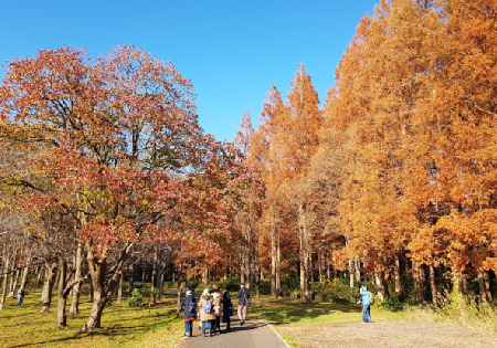 Mizumoto Park