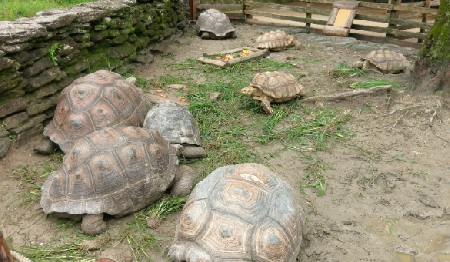 Nagasaki Bio Park