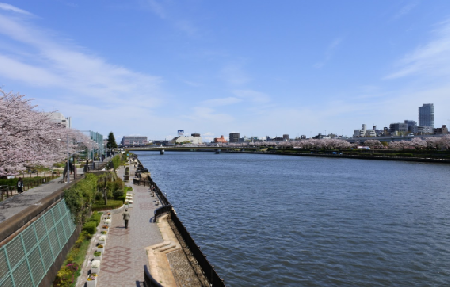 Hoteles cerca de Río Sumida  Tokio