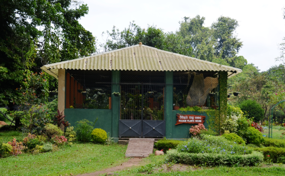 Sri Lanka Colombo  Jardín Botánico Henaratanagoda Jardín Botánico Henaratanagoda Sri Lanka - Colombo  - Sri Lanka