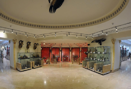 Museo de Historia Natural de Darabad
