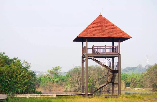 Sri Lanka Colombo Beddagana Wetland Park Beddagana Wetland Park Beddagana Wetland Park - Colombo - Sri Lanka