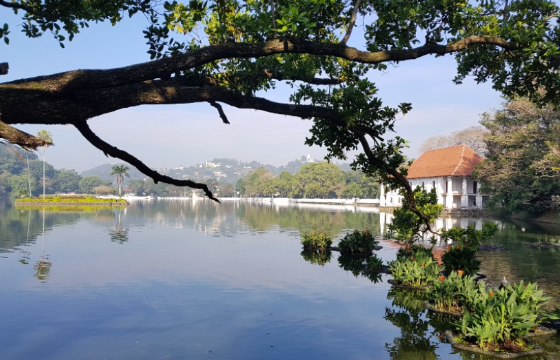 Sri Lanka Kandy  Lago Lago Kandy - Kandy  - Sri Lanka