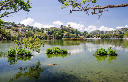 Sri Lanka Kandy  Lago Lago Maha Nuwara - Kandy  - Sri Lanka