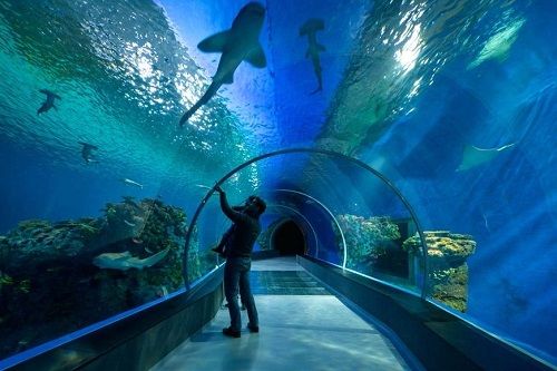 Estados Unidos de América Washington National Aquarium National Aquarium District Of Columbia - Washington - Estados Unidos de América