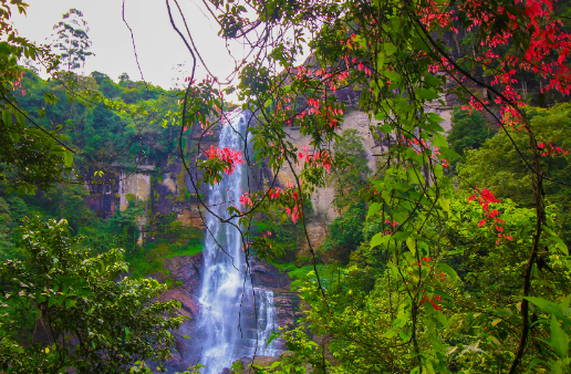 Sri Lanka Kandy  cataratas ramboda cataratas ramboda Maha Nuwara - Kandy  - Sri Lanka