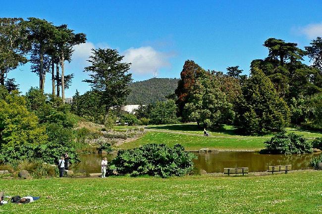 Estados Unidos de América San Francisco  Strybing Arboretum & Botanical Gardens Strybing Arboretum & Botanical Gardens San Francisco - San Francisco  - Estados Unidos de América
