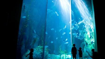 Long Beach Aquarium