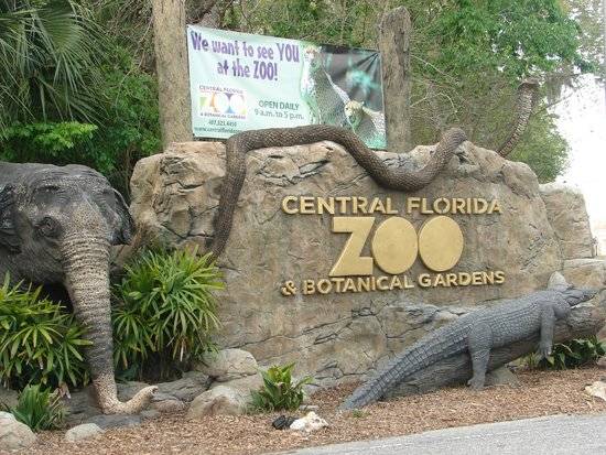 Estados Unidos de América Orlando  Parque Zoológico del Centro de Florida Parque Zoológico del Centro de Florida Orlando - Orlando  - Estados Unidos de América