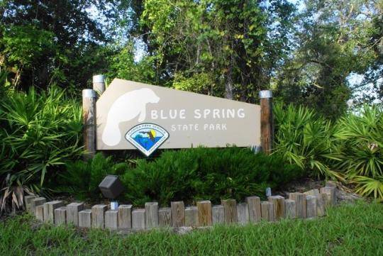 Estados Unidos de América Orlando  Blue Spring State Park Blue Spring State Park Orlando - Orlando  - Estados Unidos de América