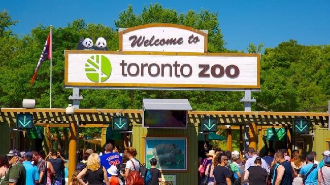 Canada Toronto Toronto Zoo Toronto Zoo Toronto - Toronto - Canada