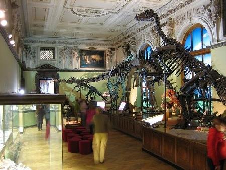 Hoteles cerca de Museo de Historia Natural  Viena