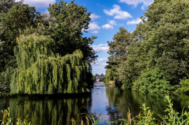 St James Park