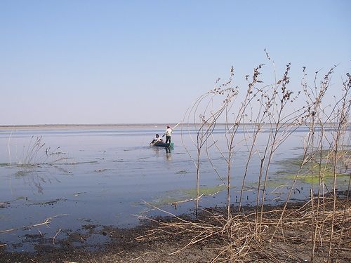 Botswana Maun Lake Ngami Lake Ngami Botswana - Maun - Botswana