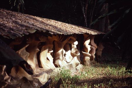 Nigeria Oshogbo  Sacred Forests Sacred Forests Oshogbo - Oshogbo  - Nigeria