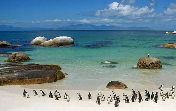 Sudáfrica Ciudad del Cabo Playa de cantos rodados Playa de cantos rodados Ciudad del Cabo - Ciudad del Cabo - Sudáfrica