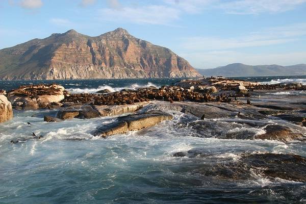 South Africa Cape Town  Duiker Island Duiker Island Cape Town - Cape Town  - South Africa