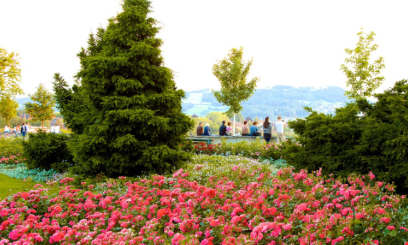 Suiza Bern Jardín de Rosas Jardín de Rosas Bern - Bern - Suiza