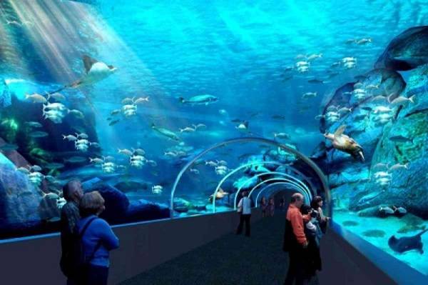 South Africa Cape Town  Two Oceans Aquarium Two Oceans Aquarium Cape Town - Cape Town  - South Africa