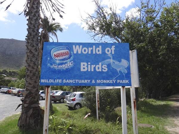 Sudáfrica Ciudad del Cabo Santuario de vida silvestre y parque de monos World of Birds Santuario de vida silvestre y parque de monos World of Birds Ciudad del Cabo - Ciudad del Cabo - Sudáfrica