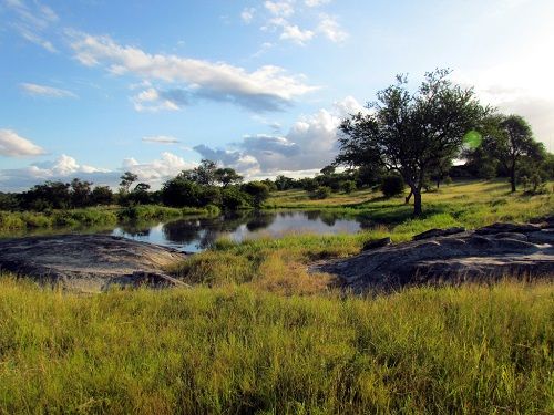 Sudáfrica Kruger National Park Reserva de caza de Djuma Reserva de caza de Djuma Kruger National Park - Kruger National Park - Sudáfrica