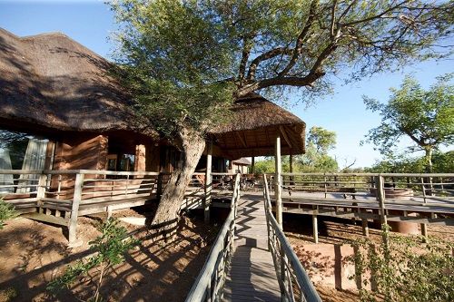 Sudáfrica Kruger National Park Reserva natural de Ntsiri Reserva natural de Ntsiri Kruger National Park - Kruger National Park - Sudáfrica