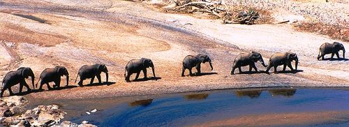 Sudáfrica Kruger National Park Reserva de Caza del Río Olifants Reserva de Caza del Río Olifants Kruger National Park - Kruger National Park - Sudáfrica