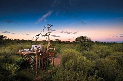 Sudáfrica Kruger National Park Reserva Sabi Sabi Reserva Sabi Sabi Kruger National Park - Kruger National Park - Sudáfrica